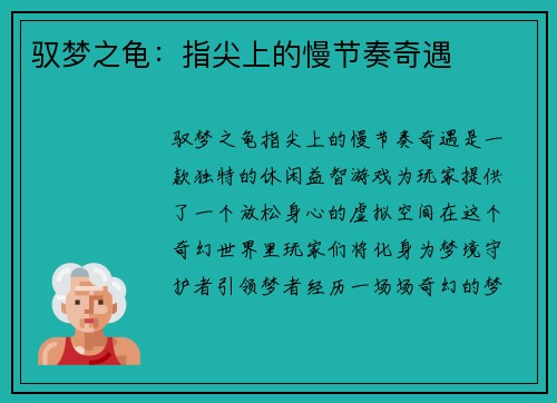 驭梦之龟：指尖上的慢节奏奇遇